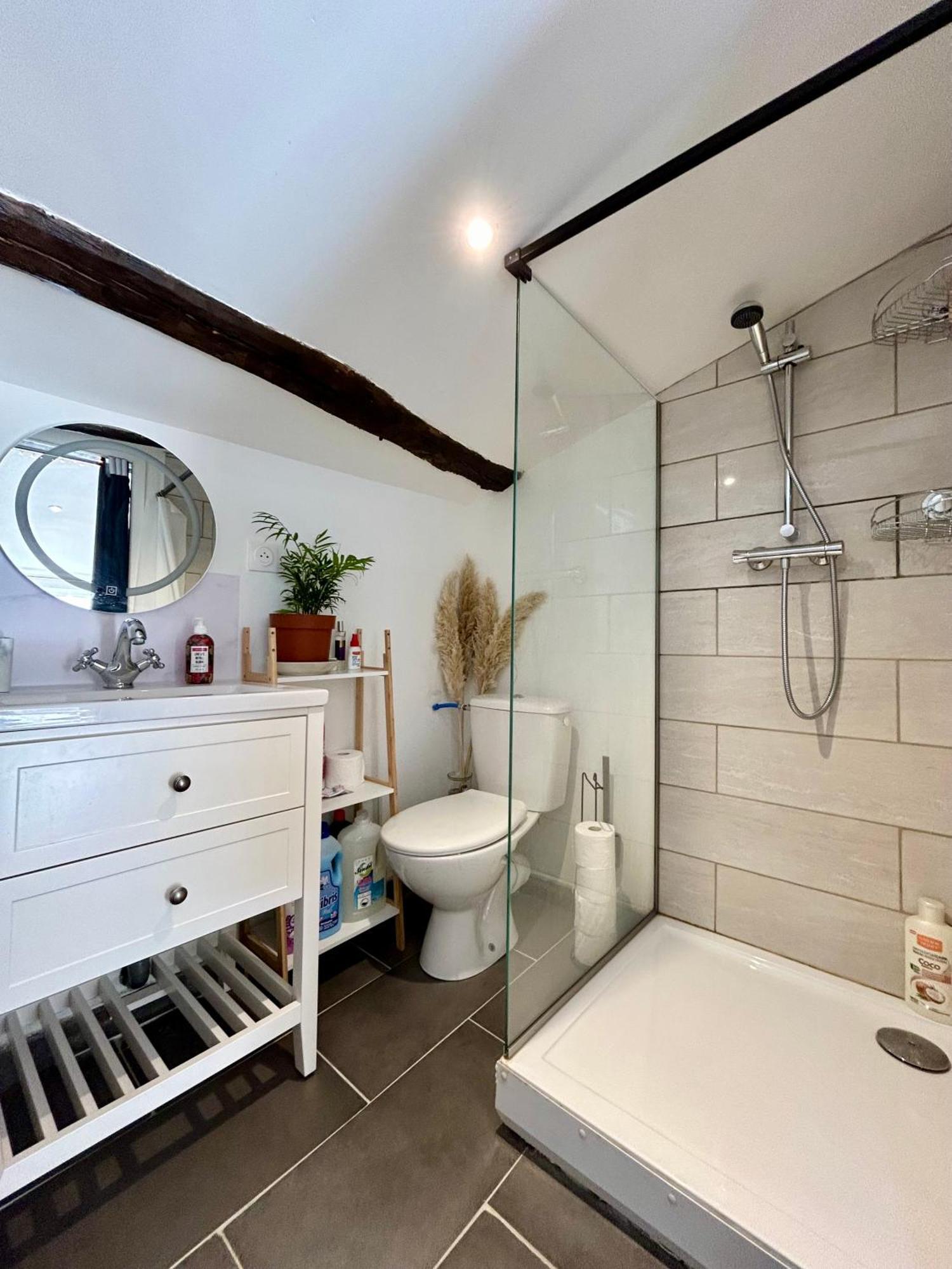 Loft Hortensia Hyper Centre Castres Castres  Exterior foto
